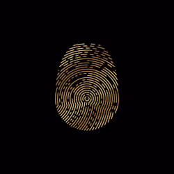 ID-X #2355
