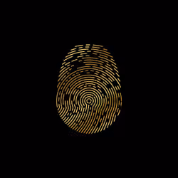 ID-X #937