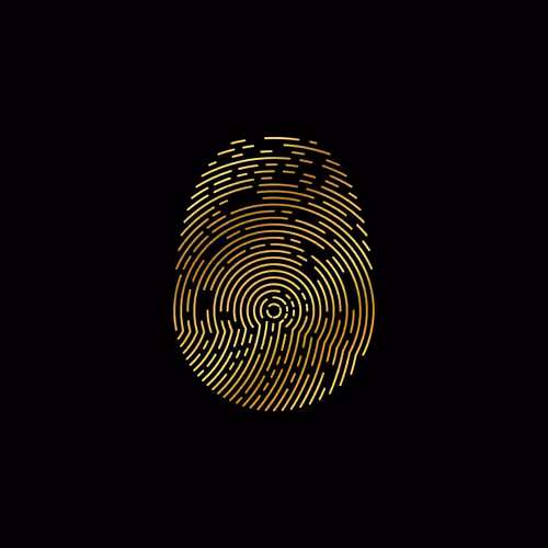 ID-X #2875