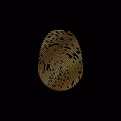 ID-X #2317