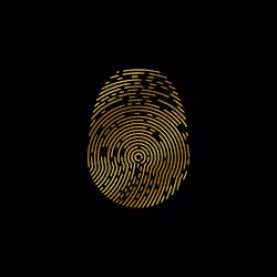 ID-X #1988