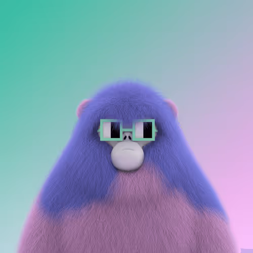 Chonkz Genesis