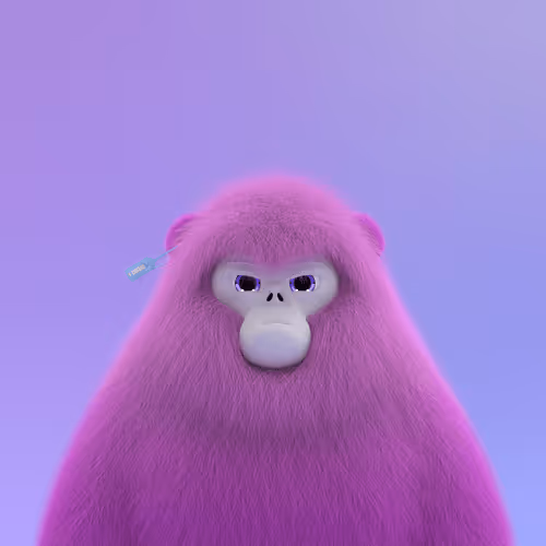 Chonkz Genesis