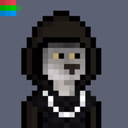 CLOAKS #19763