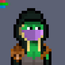 CLOAKS #7796
