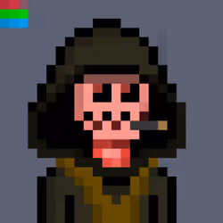 CLOAKS #10668