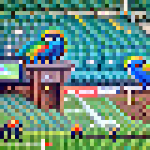 #864 The parrots are playing fotball in a stadium