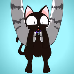 Kitten #6293
