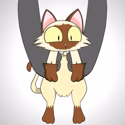Kitten #1555