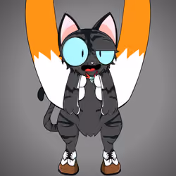 Kitten #7146