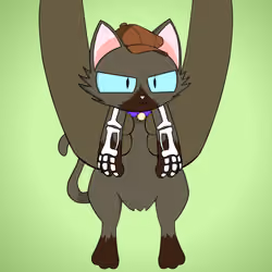 Kitten #570