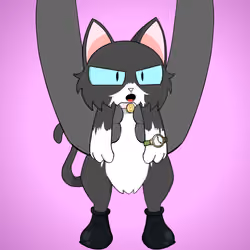 Kitten #2240