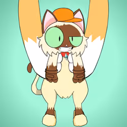 Kitten #9022