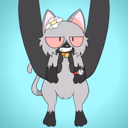 Kitten #2679