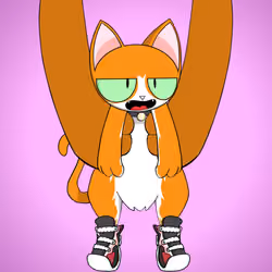 Kitten #8065