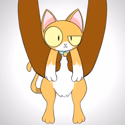 Kitten #1482