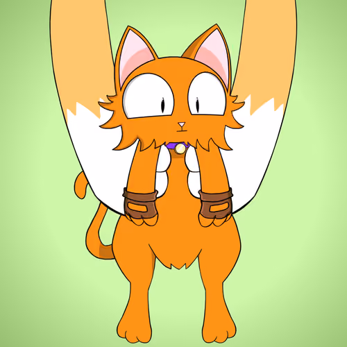 Kitten #6411