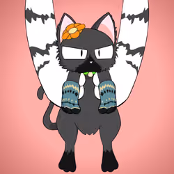 Kitten #8107