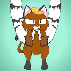 Kitten #3511
