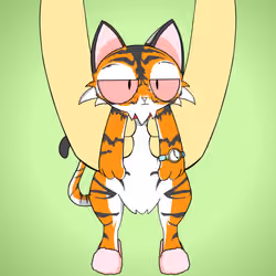 Kitten #3596
