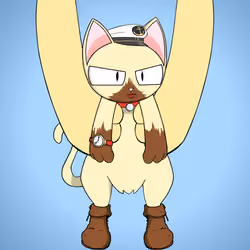 Kitten #9241