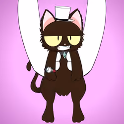 Kitten #5671