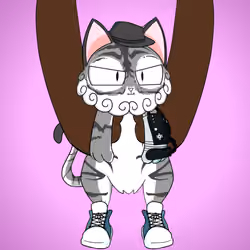Kitten #1730