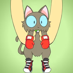 Kitten #3365
