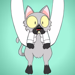 Kitten #820