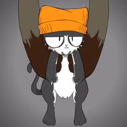 Kitten #2330