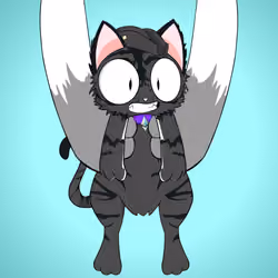 Kitten #8233
