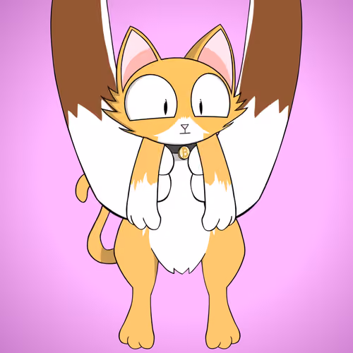 Kitten #9440