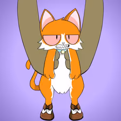 Kitten #6970