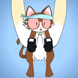 Kitten #8729