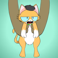 Kitten #8905