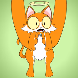 Kitten #2489