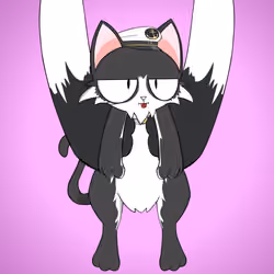 Kitten #7662