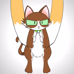 Kitten #8718
