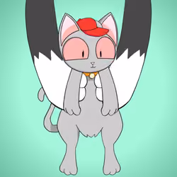 Kitten #7008
