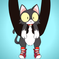 Kitten #1806