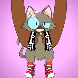 Kitten #4538