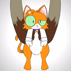 Kitten #6542