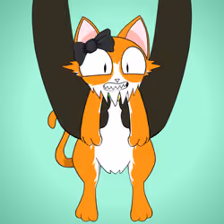Kitten #4548