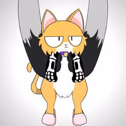 Kitten #8381