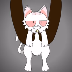 Kitten #5780