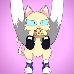 Kitten #6931