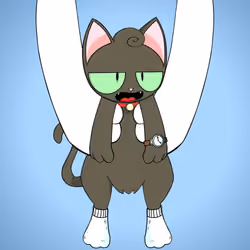 Kitten #6420