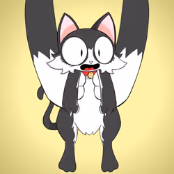 Kitten #1980