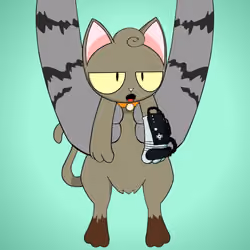 Kitten #7079