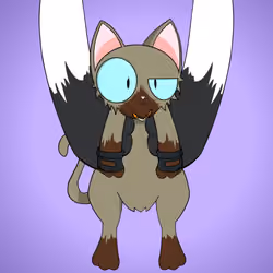 Kitten #2471